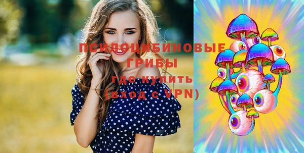 стафф Алексеевка